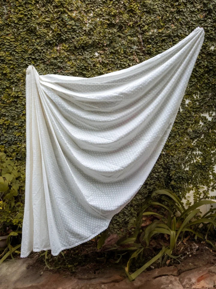 Delicate White Candy Saree